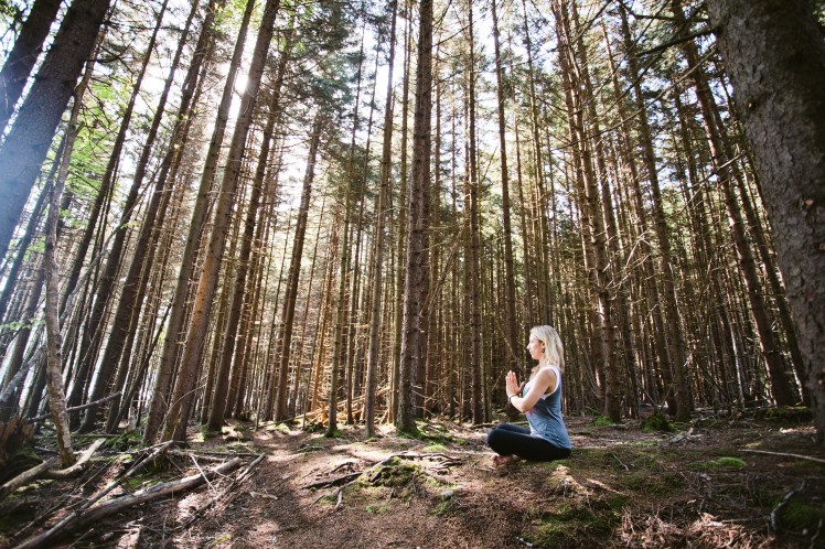 34568990614_eb90630a6b_o